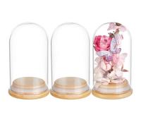 BENECREAT 3 Pz Campana di Vetro con Base in Legno, barattolo Decorativo A Cupola Da 10.3x6cm per Riporre I Fiori, Esemplari, Decorazioni