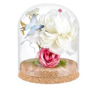 BENECREAT Barattoli Decorativi con Cupola In Vetro 125x100mm, Base In Sughero, Campana per Campioni di Fiori Decorazioni, Diametro Interno: 96mm