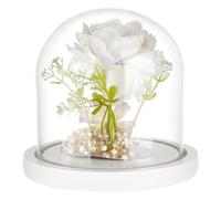 BENECREAT Campana Da Esposizione In Legno con Cloche A Cupola In Vetro Laccato Bianco Da 12x12 cm, Campana A Cloche In Vetro Trasparente per Artigianato Floreale Fai-Da-Te, Decorazioni Natalizie