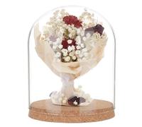 BENECREAT Cloche A Cupola con Display In Vetro, Barattoli Decorativi In Vetro con Esposizione A Campana In Vetro Da 19x15 cm con Base In Sughero per Piante Da Fiore, Esemplari, Decorazioni, ID: 14 cm