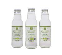 Benessence Linfa di Betulla Biologica Azione Detox e Drenante 3 bottiglie da