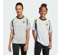 Benfica 24/25 Third Jersey Kids Light Solid Grey 11-12A