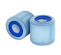 Benfosh 2 Pezzi Di Reti Protettive+2pezzi Filtro Compatibili Con Filtri di Tipo Vii e D Per Vasche Idromassaggio,Onde Estive P57100102, Per Sfs-350 Rp-350 Rp-400 Rp-600 Rx-600