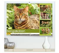 Bengalkatzen. Der elegante Mini-Leopard im Garten (hochwertiger Premium Wandkalender 2026 DIN A2 quer), Kunstdruck in Hochglanz: Die faszinierende ... von Bengalkatzen mitten im grünen Gartenleben