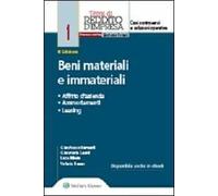 Beni materiali e immateriali. Affitto d'azienda, ammortamenti, leasing