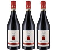 Benito Ferrara Terre D'Uva Vino Bianco Greco di Tufo DOCG | Vino Bianco 13% Vol. | Confezione da 3 Bottiglie da 750ml