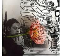 Benjamin Biolay Pourquoi Tu Pleures (CD)