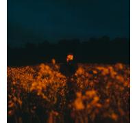 Benjamin Francis Leftwich Some Things Break (CD) Album