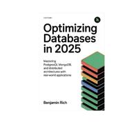 Benjamin Rich Optimizing Databases in 2025 (Tascabile)