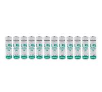 BenjiPower - Batteria LS14500 3,6 V al litio 2600 mAh Li-SoCl2 AA Confezione da 12