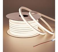 BENLUN Striscia LED Neon 24V Esterno Impermeabile IP65 15 Metri 10W/m