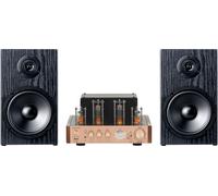 Bennett & Ross TA-70 - Impianto stereo Bluetooth, design tubolare | Bluetooth 5.3, lettore USB, 2 x 35 W RMS a 4 Ohm, box a 2 vie, AUX, ottico, coassiale, uscita subwoofer, jack per cuffie
