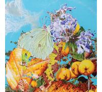 Bennett Wilson Poo I Saw a Star Behind Your Eyes, Don't Let It Die Aw (Vinyl LP)