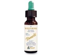 Alchimia Benoit Fiori di Bach Wild Rose – 10 ml