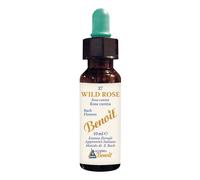Alchimia Benoit FIORI DI BACH BENOIT WILD ROSE 10 ML