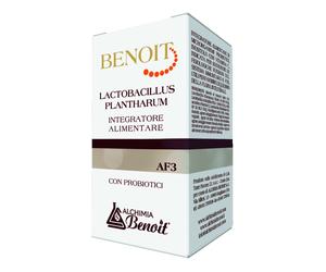 BENOIT LACTOBACILLUS PLANTHARU