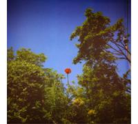 Benoit Pioulard Sonnet (Vinyl LP) 12" Album