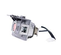 BenQ 5J.JKG05.001 lampada per proiettore
