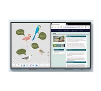 BenQ RM6504 65" display touch