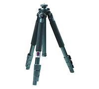 Benro A-550F + Testa HD2