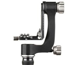 Benro Testa cardanica GH2N incl. piastra intercambiabile