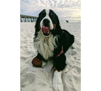 Benson the Bernese Mountain Dog Notebook: Lined Journal for Writing, Notes, and Daily Use