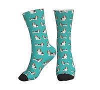 BeNtli Calzini da squadra,Calzini a compressione Calzini sportivi Calzini per polpacci Calzini yoga per unisex 40 cm,Basset Hound Cane Alzavola semplice