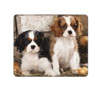 BeNtli Tappetino per mouse, Cavalier King Charles Spaniel Small Puppies, Tappetino per mouse con base in gomma antiscivolo, Tappetino per mouse impermeabile 12 × 10 pollici Ufficio