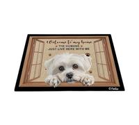 Benvenuti A Casa Mia, Cane Maltese 40X60Cm Tappeto Ingresso Casa Antisporco Tappeti D'Ingresso Facile Da Pulire Zerbino Di Benvenuto Per Balcone Camera Letto Interno