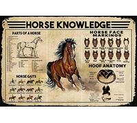 Benvenuti nella nostra locanda delle streghe, cartello in latta, divertente cartello in metallo, casa, bar, caffè, cucina, decorazione da parete, cartello vintage, cartello decorativo da giardino, re