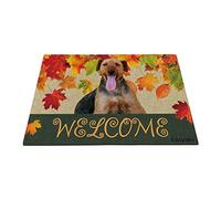 Benvenuto Autunno Con Il Mio Adorabile Cane Preferito Airedale, Stagione Della Raccolta Delle Tappeto Ingresso Casa Antiscivolo Tappetini Porta Dingresso Resistente Tappeti D'Ingresso 40X60Cm