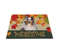 Benvenuto Autunno Con Il Mio Adorabile Cane Preferito, Stagione Della Raccolta Delle Zerbino Di Benvenuto Antisporco Tappeto Ingresso Casa Resistente Tappetini Porta Dingresso 40X60Cm