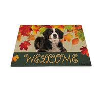 Benvenuto Autunno Con Il Mio Cane Preferito Adorabile Bovaro Bernese, Stagione Della Raccolta Delle Tappetino Da Bagno Antisporco Tappeto Ingresso Casa Resistente Tappeti D'Ingresso 40X60Cm