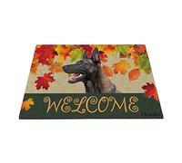 Benvenuto Autunno Con Il Mio Cane Preferito Belga Malinois, Stagione Della Raccolta Delle Tappetini Porta Dingresso Antisporco Tappetino Da Bagno Lavabile Zerbino Di Benvenuto 40X60Cm