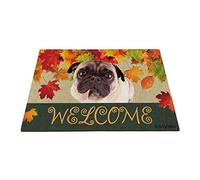 Benvenuto Autunno Con Il Mio Cane Preferito Il Simpatico Carlino, Stagione Della Raccolta Delle Tappeti D'Ingresso Confortevole Tappeto Ingresso Casa Divertenti Zerbino Di Benvenuto 40X60Cm