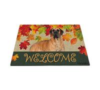 Benvenuto Autunno Con Il Mio Cane Preferito, L'Alano Carino, Stagione Della Raccolta Delle Foglie D'Acero Tappeto Ingresso Casa Antiscivolo Tappeti D'Ingresso Divertenti Tappetino Da Bagno 40X60Cm