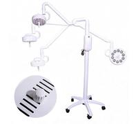 BeoyNot Floor Standing Exam Lamp, Portable Shadowless Oral Light, Adjustable Brightness, with 5 Rolling Wheel, for Auxiliary Lighting in Hospitals, Dental Clinics, And The Beauty Industry