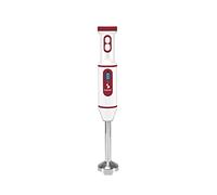 BEPER P102FRU300 Frullatore a Immersione Senza Cavo, Frullatore Ricaricabile USB - Frullatore senza fili Minipimer Passaverdure, Multifunzione