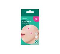beplain - Cicaterol Spot Patch - 110 patch