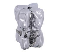 BePuzzled | H&H Hanayama Metal Brainteaser Puzzle Mensa Livello 5, per etÃ 12 e oltre