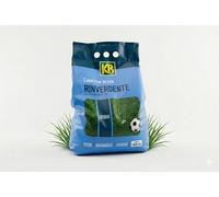 BERARDI Concime Rinverdente per Prato KG 5 | Prato Fitto, Verde Intenso e Robusto Anziché Muschio ed Erbacce