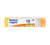 Berberis Vulgaris 15ch Granuli Multidose Boiron