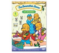 Berenstain Bears Get Organized