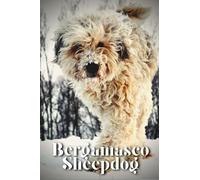 Bergamasco Sheepdog: Dog breed overview and guide