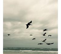 Berger Karl - In A Moment Music For Piano And String