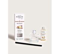 Berger paris bouquet glacon poussiere ambre