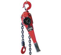 Berger + Schröter 60589 Doppia Cricchetto paranco 1000 kg GS