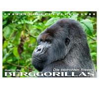 Berggorillas: die bedrohten Riesen (Tischkalender 2026 DIN A5 quer), CALVENDO Monatskalender: In den Virunga-Vulkanen, im Grenzgebiet zwischen Ruanda, ... aus dem Alltag der riesigen Menschenaffen.
