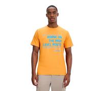 Berghaus Men's High Level Route Tee, Copper Beech, 2XL