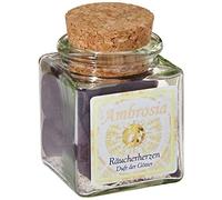 Berk HS-100-H - Miscela per incenso - Ambrosia, 10 g